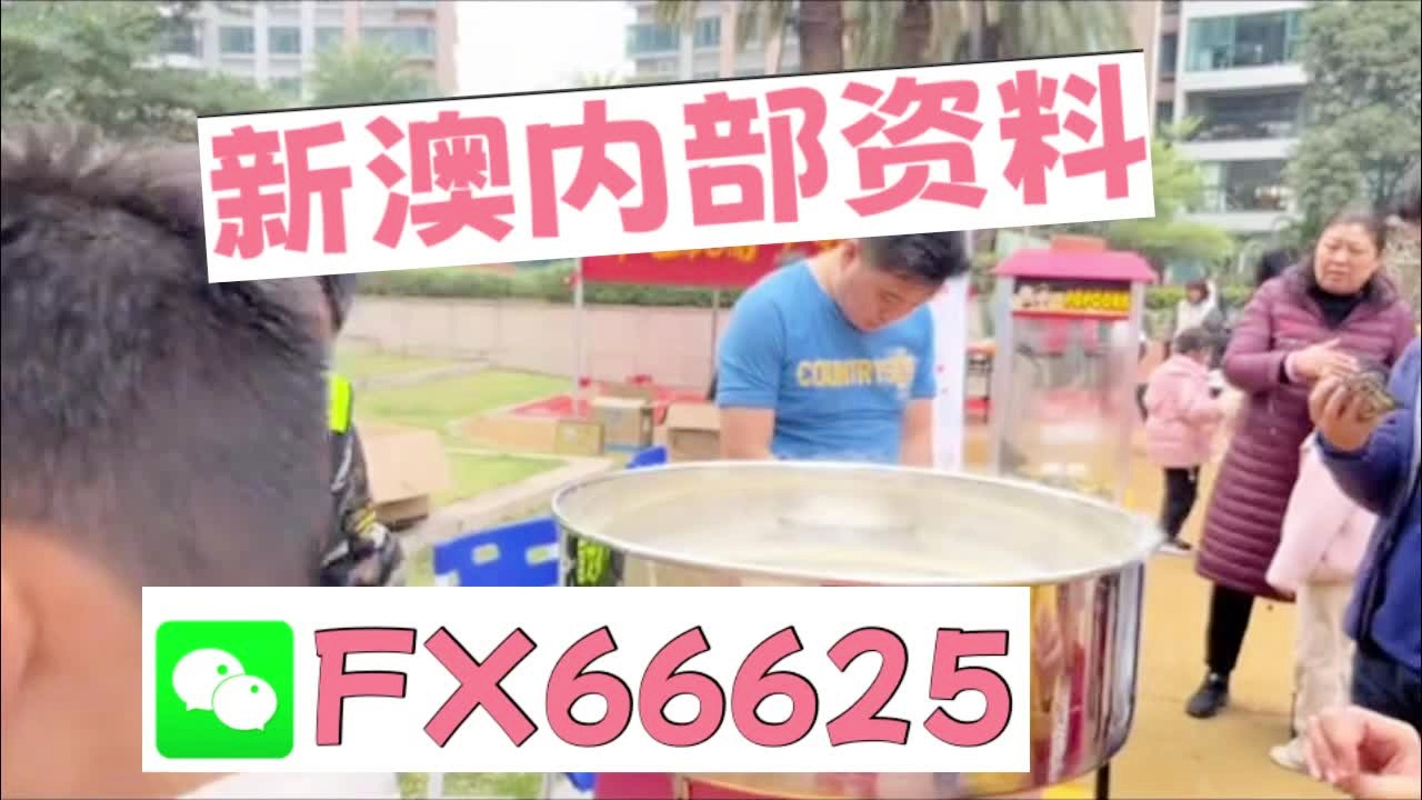 新奧2025資料大全最新版本，全面解析與深度洞察，新奧2025資料大全最新版，全面解析與深度洞察報告