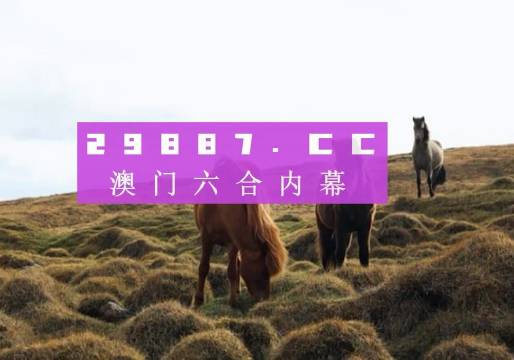 今晚澳門9點(diǎn)35分的彩票開獎(jiǎng)，期待與驚喜交織的時(shí)刻，澳門今晚9點(diǎn)35分彩票開獎(jiǎng)，期待與驚喜交匯的時(shí)刻