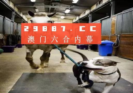 澳門一肖一碼一必中一肖，同舟前進的奧秘與策略，澳門一肖一碼必中策略與前進奧秘，同舟共濟的揭秘與策略