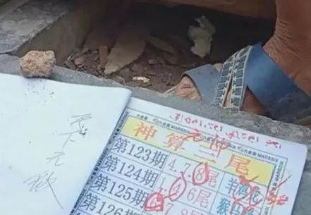 香港中特期期準(zhǔn)資料，深度解析與探索，香港中特期期準(zhǔn)資料深度解析與探索報(bào)告