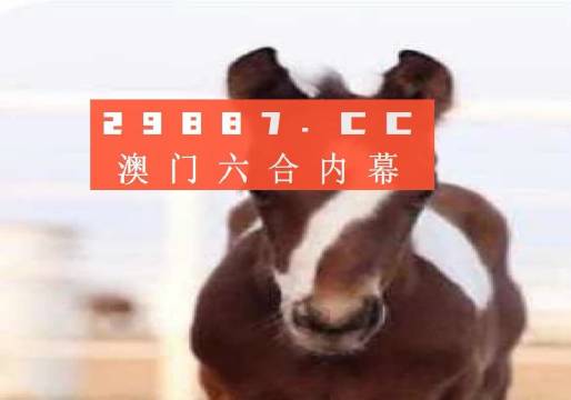 澳門一肖一碼狀元紅，揭秘彩票背后的秘密與策略，澳門彩票揭秘，狀元紅背后的秘密與策略解析