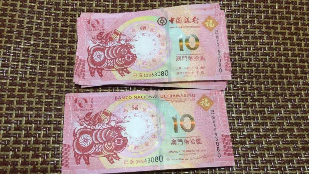 新澳門生肖走勢圖，深度解析與預(yù)測，澳門生肖走勢圖深度解析及預(yù)測報告