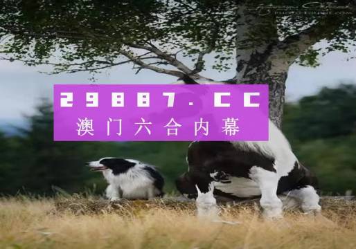 澳門天天空彩官網(wǎng)資料，探索彩票世界的門戶，澳門天天空彩官網(wǎng)資料，彩票世界探索門戶