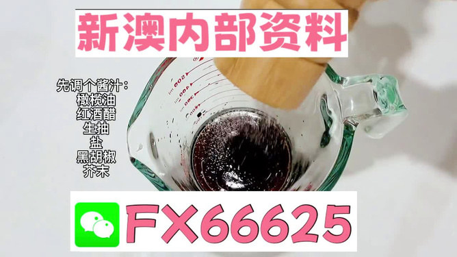 2025年新澳正版免費料，全面解析與獨家資訊，獨家解析，揭秘新澳正版免費料獨家資訊至2025年