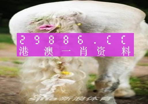 澳門羊了個羊與各大圖庫的資料揭秘，2023年澳門今晚必中一肖一碼永久免費資料庫大解密，澳門羊了個羊與資料庫揭秘，2023年必中一肖一碼永久免費資料大解密