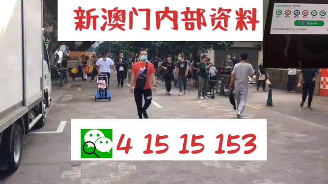澳門(mén)管家婆，揭秘一種獨(dú)特的文化現(xiàn)象與娛樂(lè)體驗(yàn)，澳門(mén)管家婆，文化現(xiàn)象與娛樂(lè)體驗(yàn)的揭秘