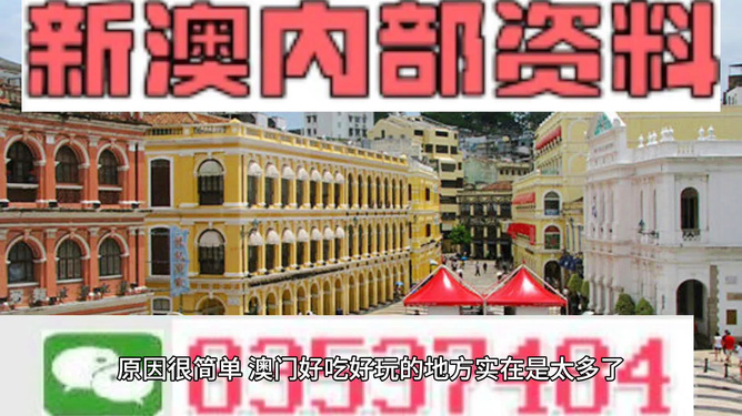 澳門精準(zhǔn)資料大全免費(fèi)，探索與解析，澳門精準(zhǔn)資料大全免費(fèi)解析探索