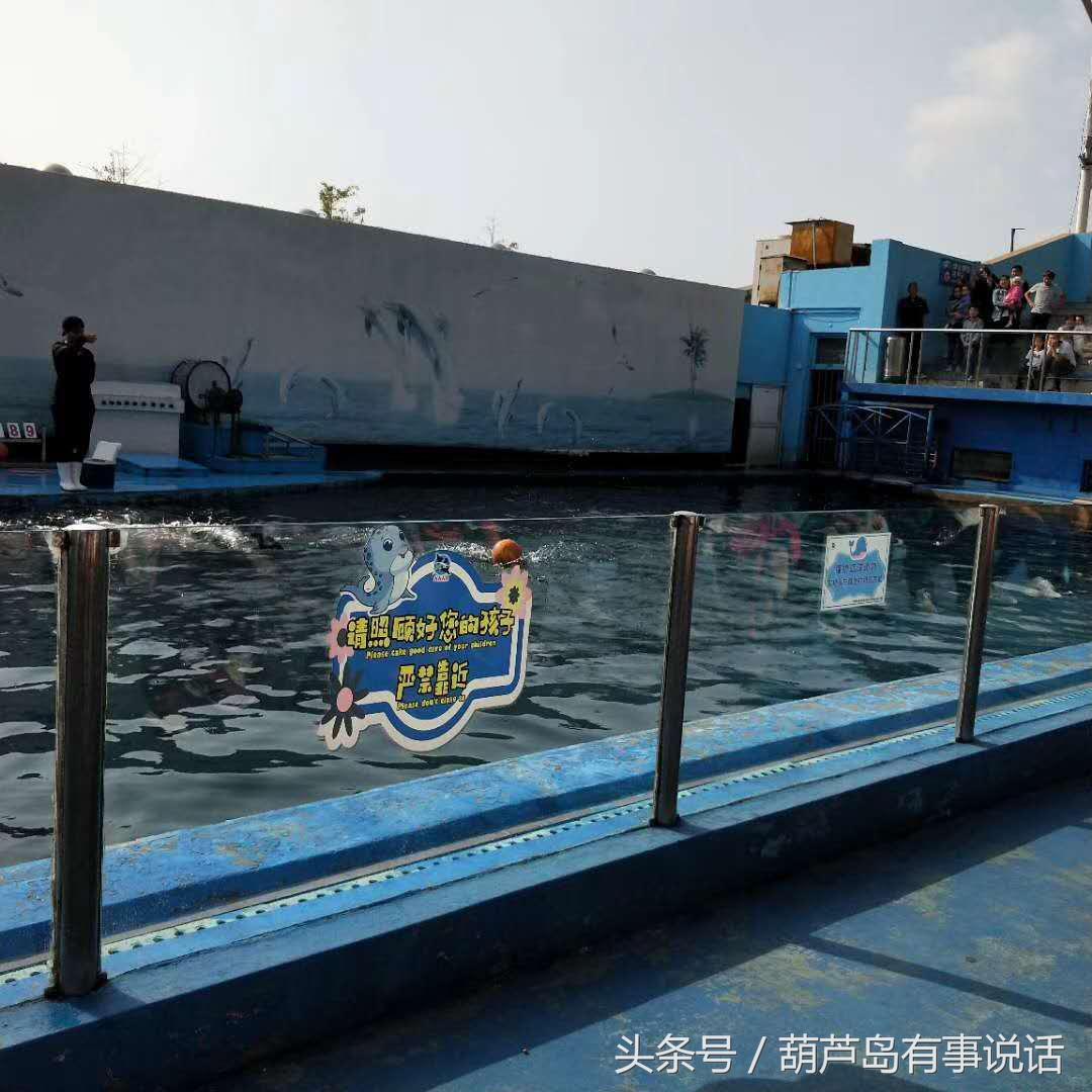 揭秘9點30分彩新澳，全方位解讀彩票新玩法，揭秘9點30分彩新澳，全方位解讀彩票新玩法攻略