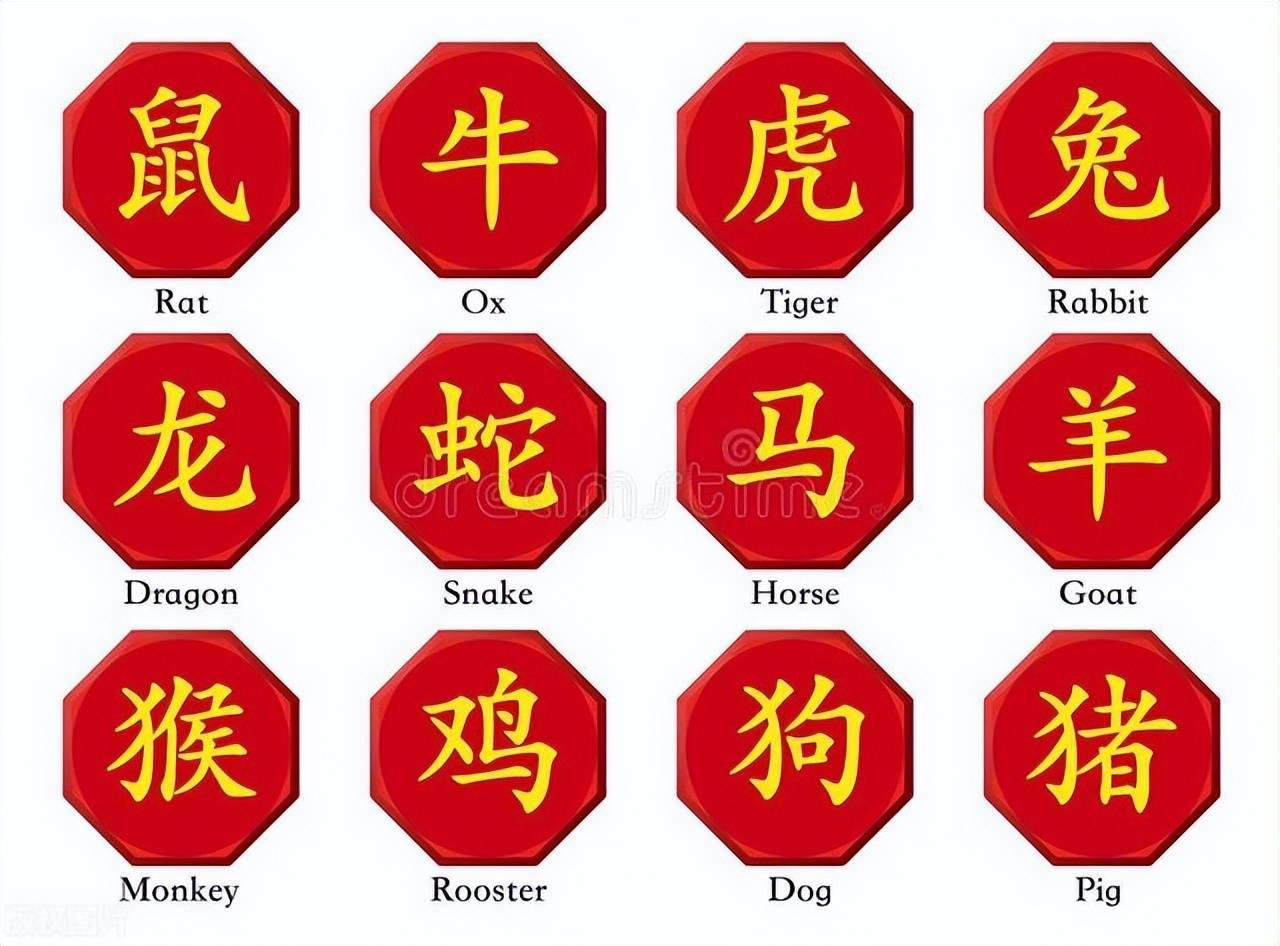 新澳特碼，羊?；⒏鲾?shù)10——揭秘背后的數(shù)字奧秘，揭秘新澳特碼數(shù)字奧秘，羊?；⒏鲾?shù)背后的秘密