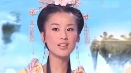 曾道道人資料免費(fèi)大全，深度探索與解析，曾道道人資料深度解析與免費(fèi)大全探索