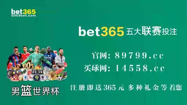 王中王中特馬王中王精準資料解析與SEO優(yōu)化策略探討，王中王中特馬精準資料解析與SEO策略探討