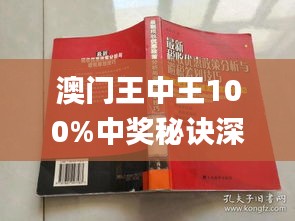 新澳門王中王期期中，探索與解析，新澳門王中王期期中，深度探索與解析