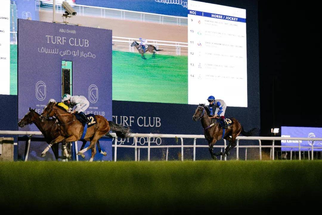 澳門特馬今晚開獎一，探索彩票背后的秘密與期待，澳門特馬今晚開獎，揭秘彩票背后的秘密與期待大獎的激動心情