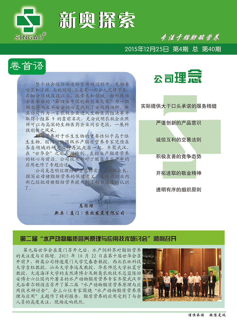 2025新澳正版資料查詢指南，2025新澳正版資料查詢手冊