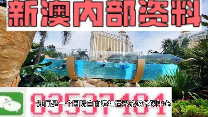新澳的資料去哪里找——全面指南，新澳資料全攻略，尋找資料的途徑與指南