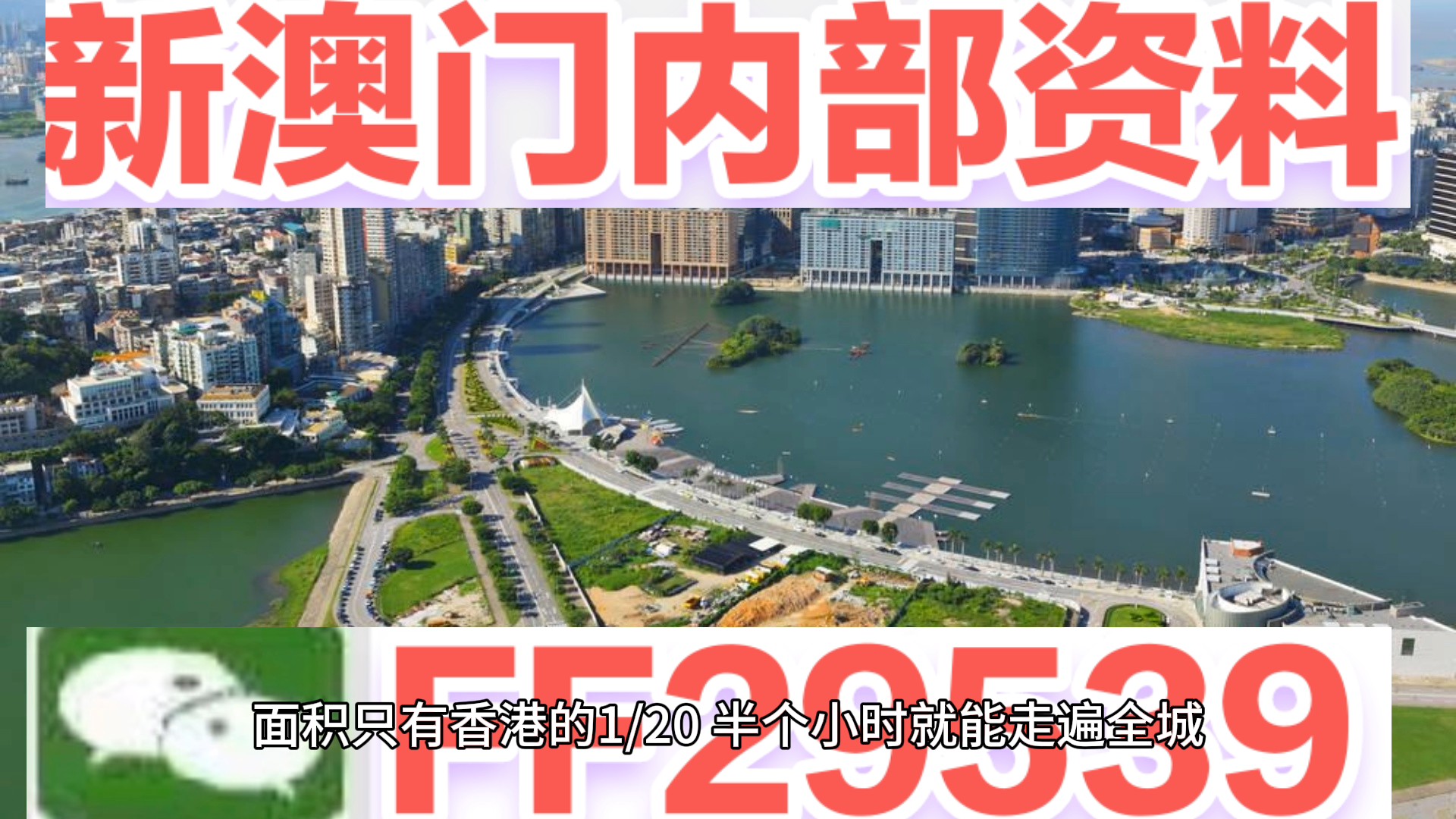 澳門特碼，探索其背后的秘密與魅力，澳門特碼背后的秘密與魅力探索