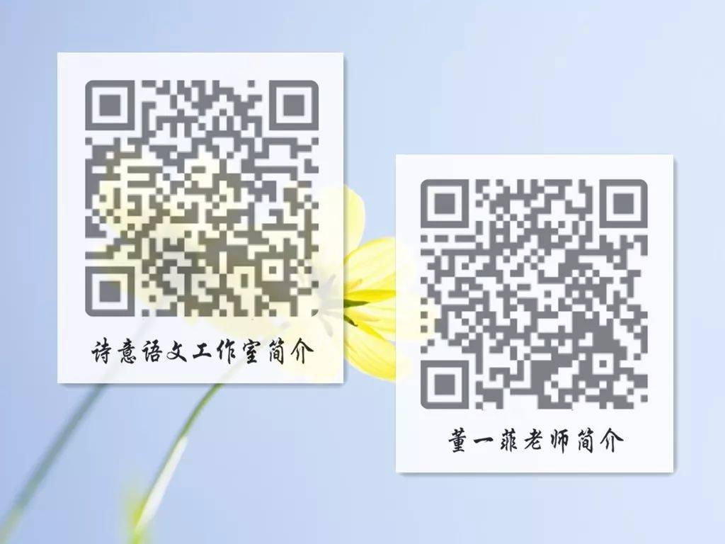 一碼一肖一特一，揭秘背后的秘密與獨(dú)特之處，揭秘一碼一肖一特一的獨(dú)特之處與背后秘密
