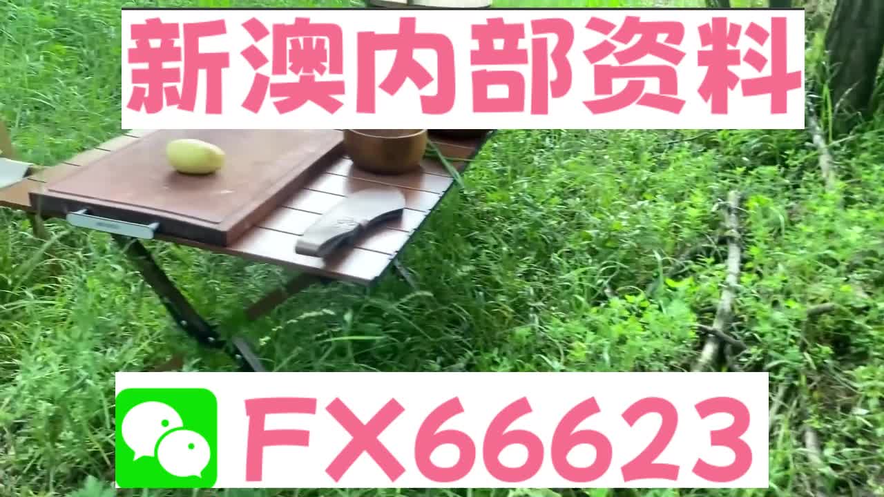 新奧特碼走勢圖解析與預測，新奧特碼走勢圖解析與預測，未來趨勢探討