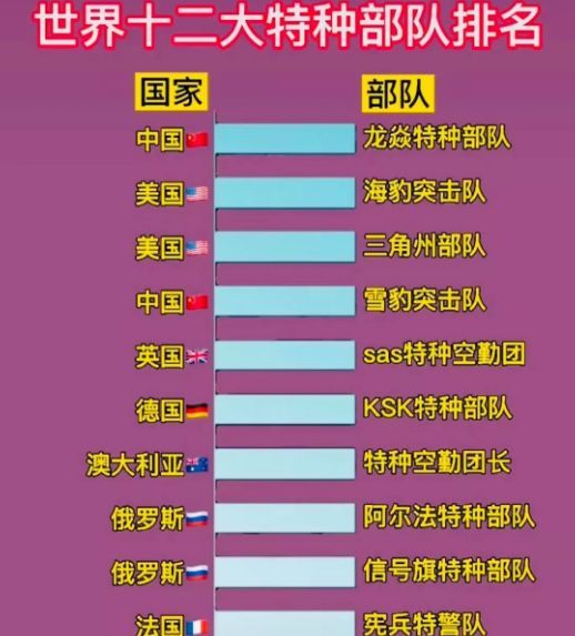 中國十大王牌特種部隊(duì)，實(shí)力與榮耀的象征，中國十大王牌特種部隊(duì)，實(shí)力與榮耀的巔峰標(biāo)志