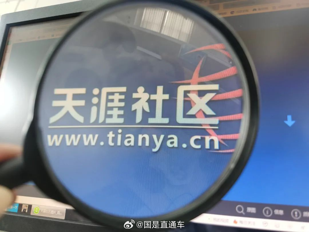 天涯國際觀察，全球視野下的深度分析與洞察，全球深度洞察，天涯國際觀察分析