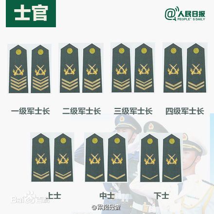 全球各國(guó)軍士長(zhǎng)軍銜對(duì)照表及其重要性，全球各國(guó)軍士長(zhǎng)軍銜對(duì)照表，揭示其重要性