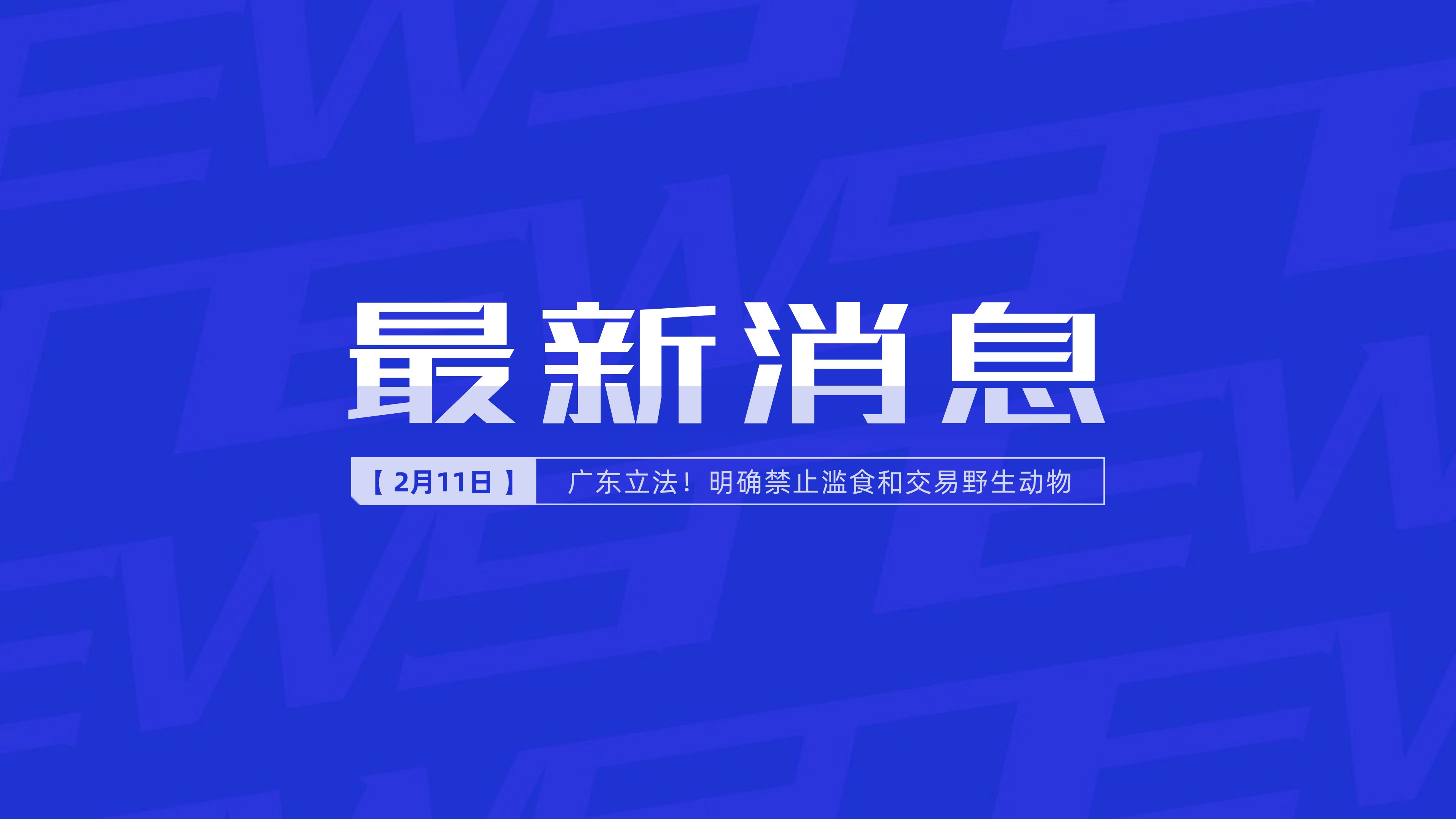 新聞最新新聞，掌握時(shí)事熱點(diǎn)，洞悉世界動(dòng)態(tài)，時(shí)事熱點(diǎn)速遞，掌握全球最新動(dòng)態(tài)新聞