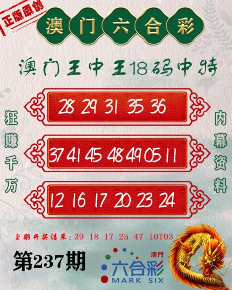 新澳門王中王期期中，探索與解析，新澳門王中王期期中，深度探索與解析