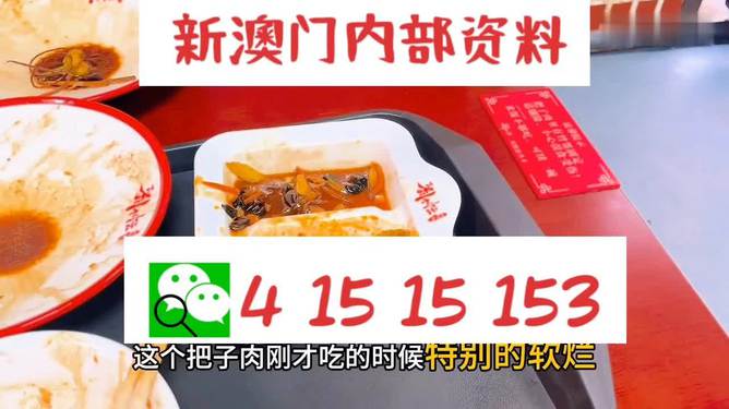 澳門王中王六碼新澳門，探索與解析，澳門王中王六碼新澳門，深度探索與解析