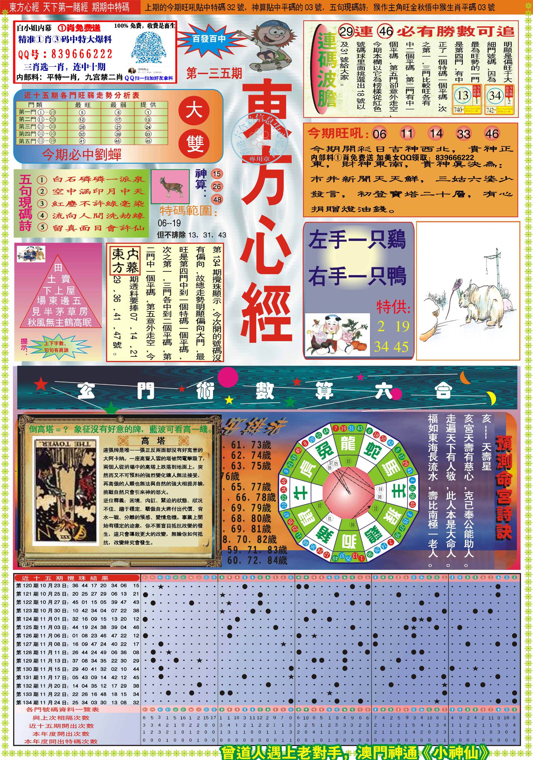 香港最精準的特馬資料，探索與解析，香港特馬資料探索與精準解析