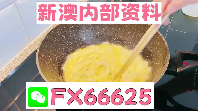 澳門九點(diǎn)半9點(diǎn)半網(wǎng)站——探索與體驗(yàn)，澳門九點(diǎn)半網(wǎng)站，探索與體驗(yàn)之旅
