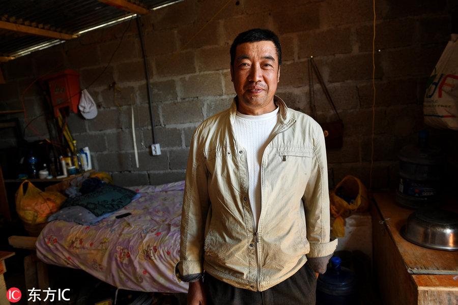 博科圣地組織，深度解析與理解，博科圣地組織深度解析與探究