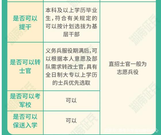 士官直招與義務(wù)兵的區(qū)別，深入了解軍隊(duì)招募制度，直招士官與義務(wù)兵招募制度深度解析，軍隊(duì)招募制度詳解