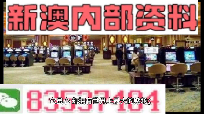 新澳門最精準——探索澳門的精準旅游體驗，澳門精準旅游探索，深度體驗澳門的獨特魅力