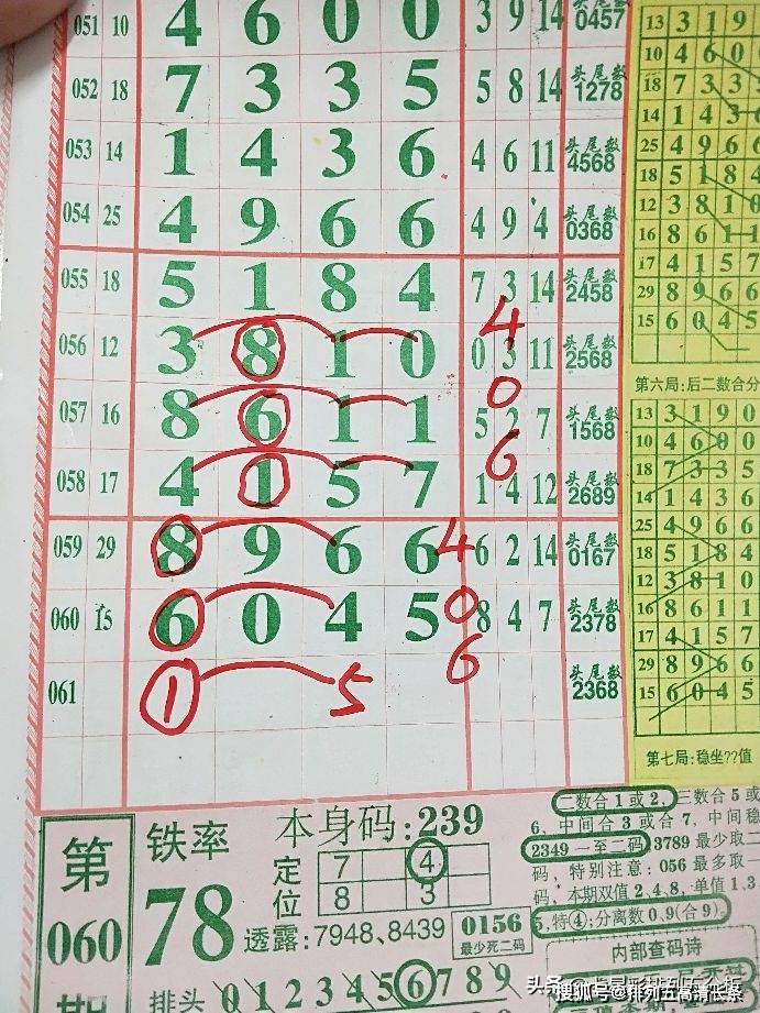 平特肖推算法，探索搜索引擎優(yōu)化的新境界，平特肖推算法，開啟搜索引擎優(yōu)化新境界的探索之旅