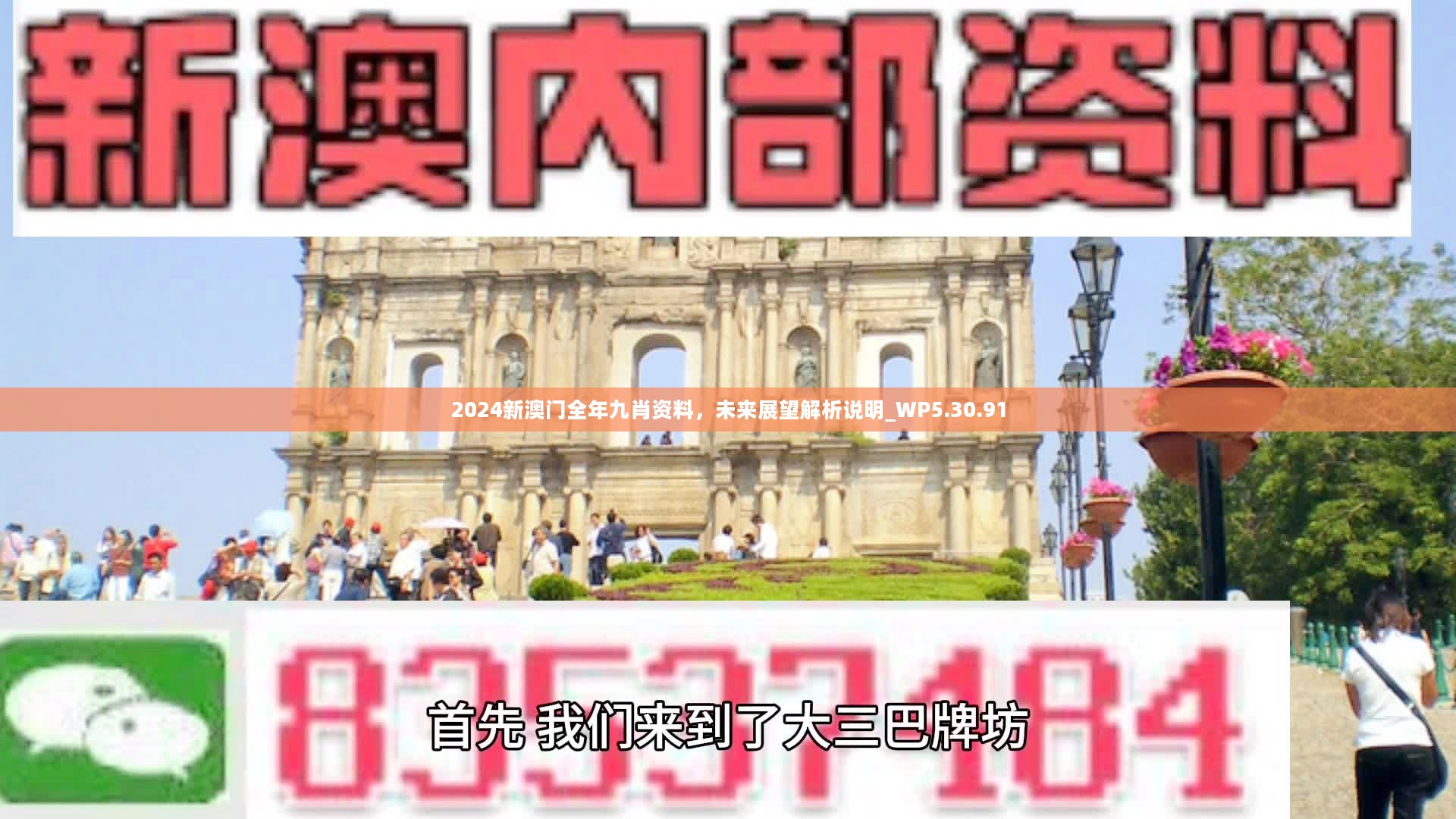 新澳門精準九肖，揭秘預測技巧與策略，揭秘新澳門精準九肖預測技巧與策略