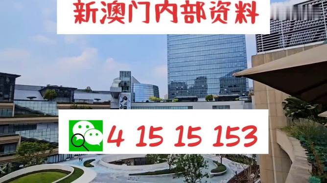 新澳門單雙，探索數(shù)字世界的奧秘與魅力，澳門數(shù)字世界的奧秘與魅力探索，單雙數(shù)的奇幻之旅