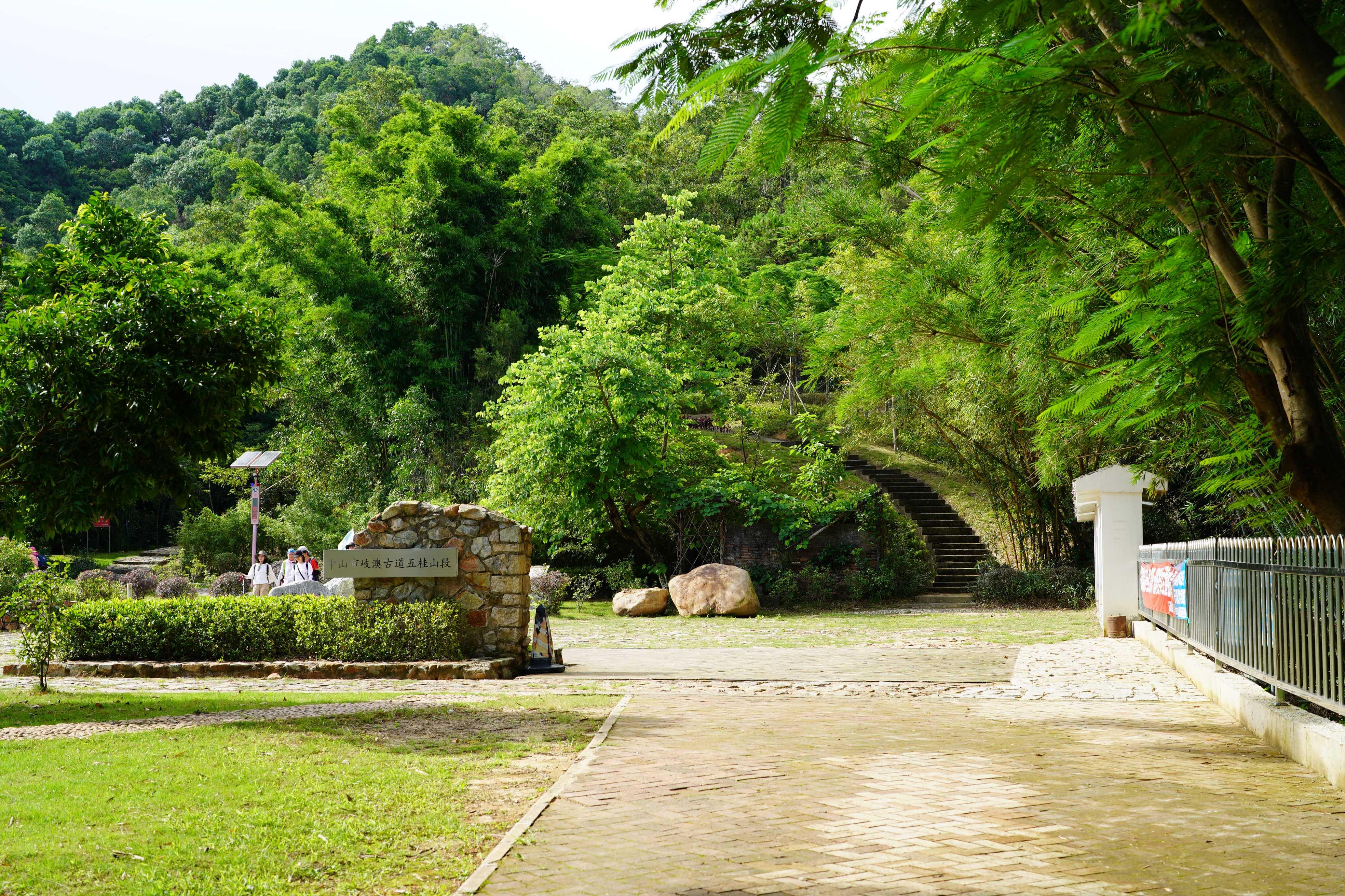 新澳門波色走勢圖表大全，深度解析與預(yù)測，澳門波色走勢圖表解析與預(yù)測大全