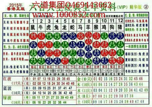 揭秘2024十二生肖49碼表——完整指南，揭秘十二生肖49碼表全攻略，2024年最新版指南