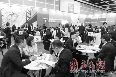香港三期內(nèi)必開一期論壇，深度解析與探討，香港三期內(nèi)必開一期深度論壇，解析與探討