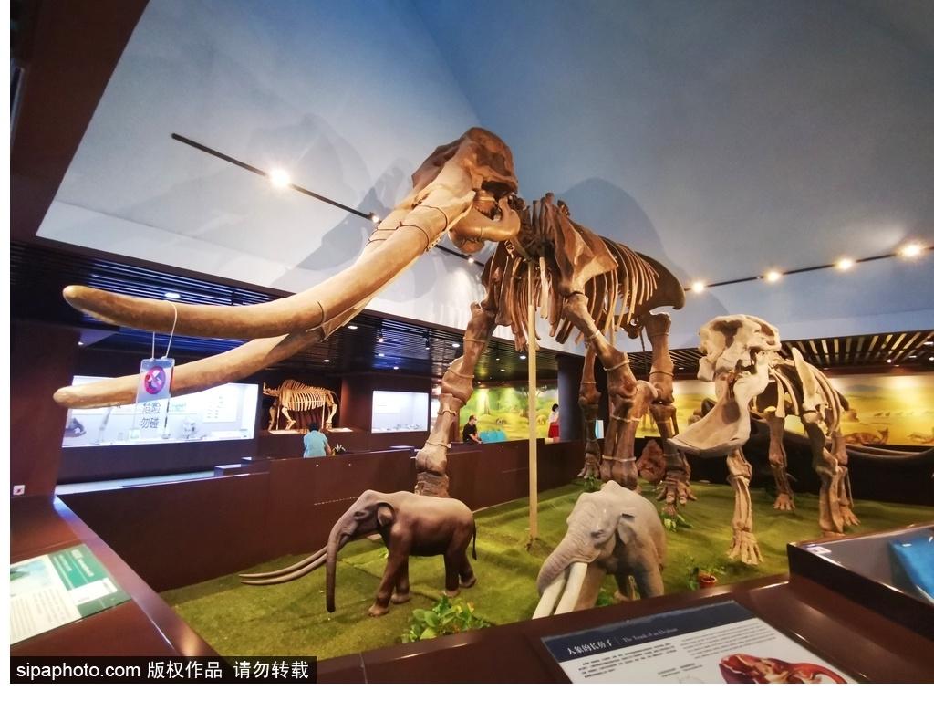 北京必去的十大博物館——探尋千年文化的精華之旅，北京必游十大博物館，千年文化精華之旅探尋記