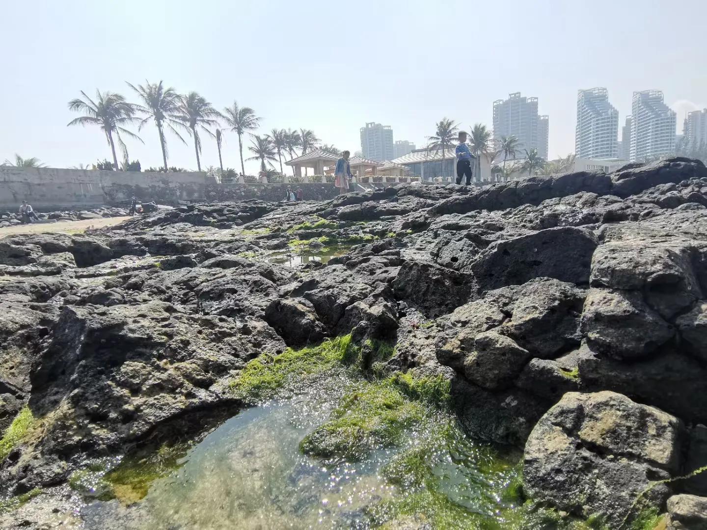 解放海南島電視劇全集下載，探尋30集完整劇情，解放海南島電視劇全集下載，探尋完整的30集劇情探索