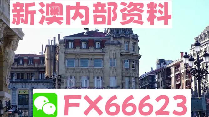 澳門六資料大全，深度探索與揭秘，澳門六資料大全，深度探索與揭秘之旅