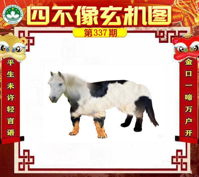王中王四不像肖一肖中特，探索神秘現(xiàn)象背后的真相，神秘現(xiàn)象背后的真相探索，王中王四不像肖一肖中特揭秘