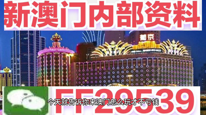 澳門今晚必開一肖——揭秘生肖彩票的魅力與策略，澳門生肖彩票揭秘，策略與魅力探索