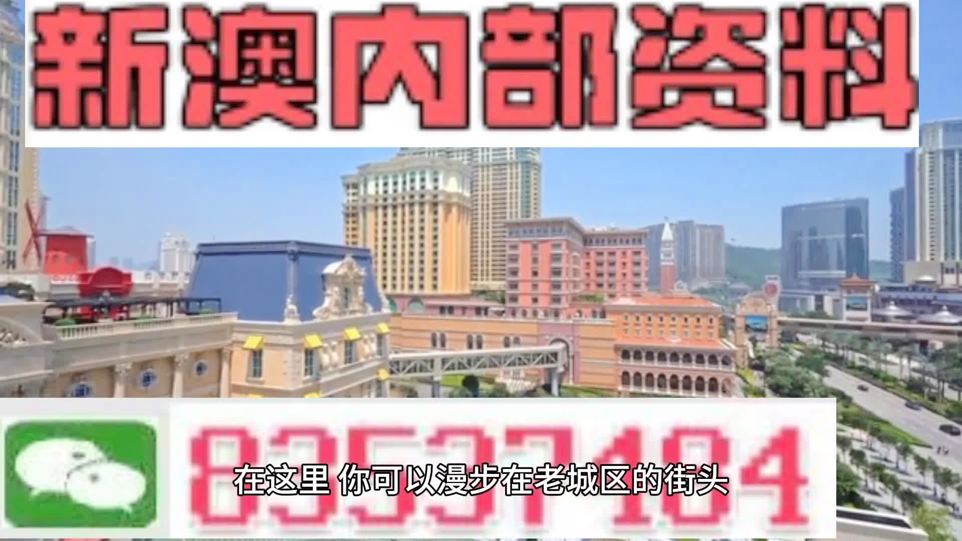 新澳門期期準精準，探索澳門的未來與SEO策略，澳門未來展望與SEO策略探索，精準瞄準新機遇