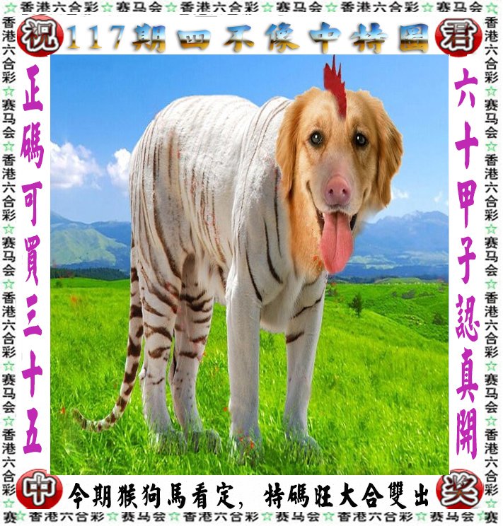 王中王四不像一肖論壇，探索神秘論壇的世界，王中王四不像一肖論壇，神秘論壇世界的探索之旅