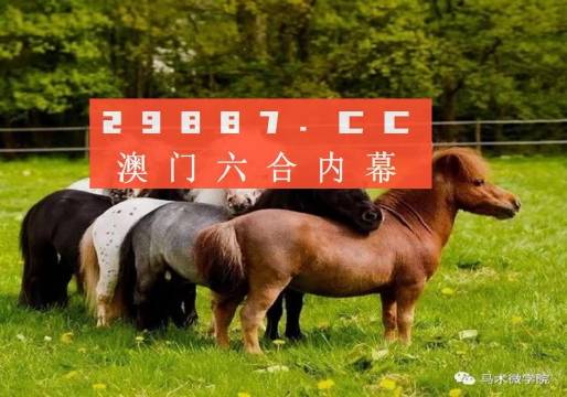 王中王四不像正版一肖中特圖，揭秘背后的秘密與獨(dú)特魅力，揭秘王中王四不像正版一肖中特圖的獨(dú)特魅力和背后秘密