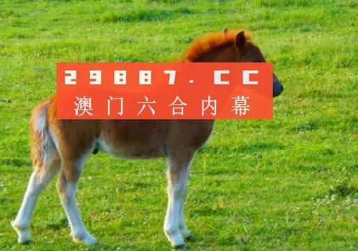 澳門(mén)答家婆一肖一馬一中一特，揭秘背后的秘密與獨(dú)特文化魅力，澳門(mén)文化魅力深度解析，答家婆一肖一馬一中一特的獨(dú)特傳統(tǒng)與秘密