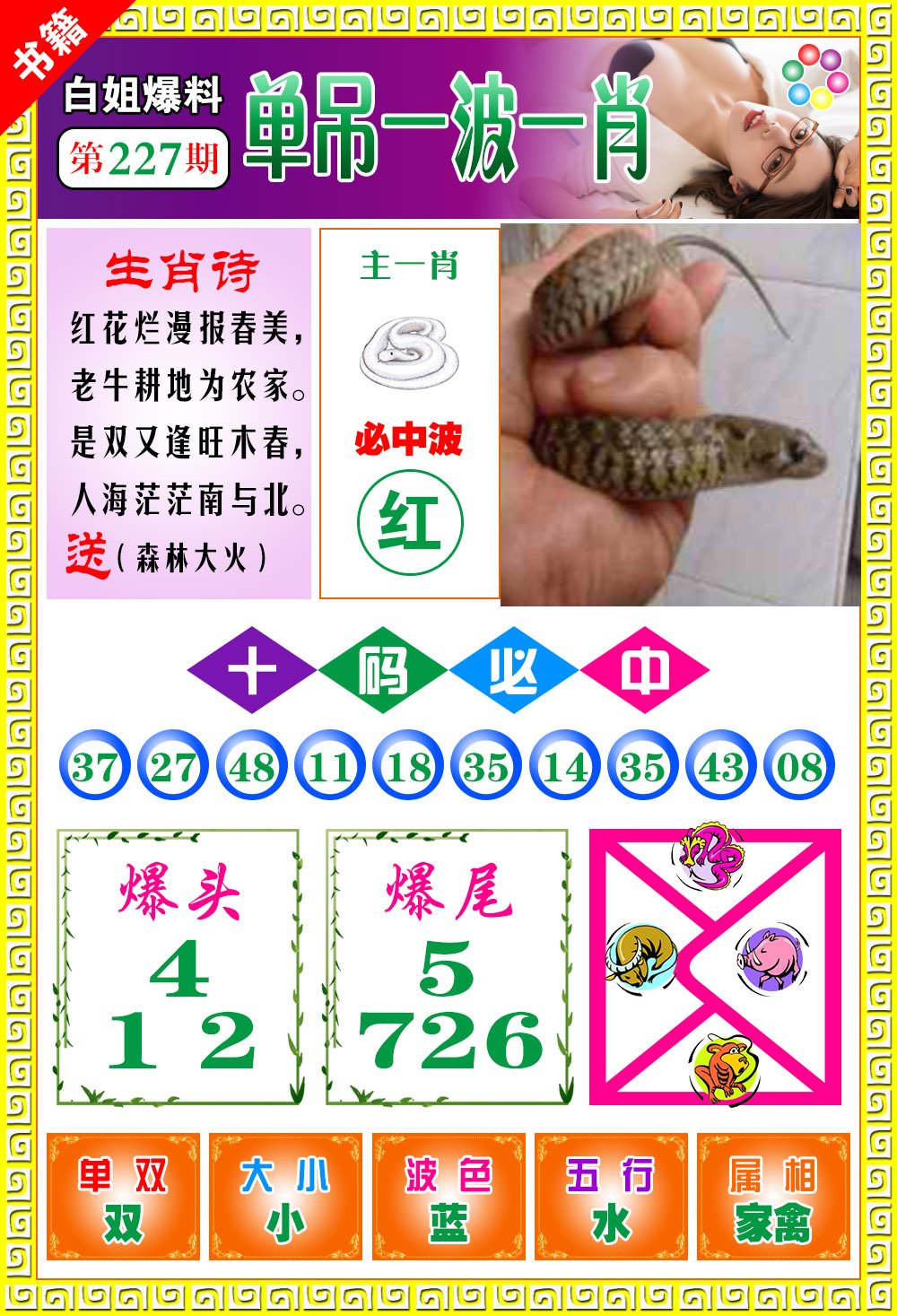 王中王100期期一肖，深度解析與SEO優(yōu)化策略，王中王100期期一肖深度解析與SEO策略全解析