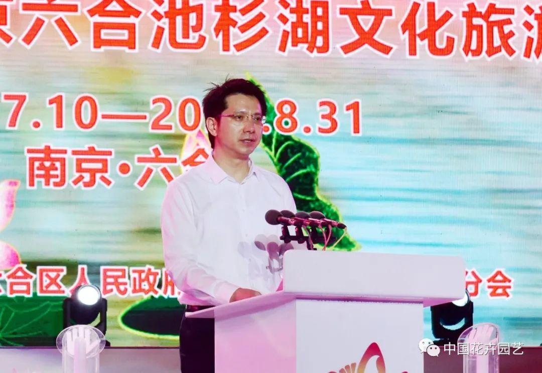 澳門六和開獎結(jié)果第54期，深度分析與預(yù)測，澳門六和開獎結(jié)果第54期深度分析與預(yù)測報告
